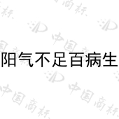 云阳县通透互联网信息服务中心商标注册被驳回
