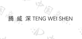 深圳市深威腾科技有限公司商标注册被驳回