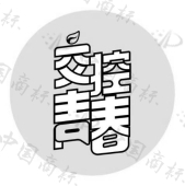 陕西交通控股集团有限公司商标注册被驳回