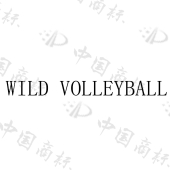 惠动乐（厦门）体育文化有限公司商标注册被驳回