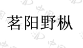 新航线（上海）汽车科技有限公司商标注册被驳回