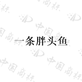 黑龙江帝凰玺燕文化传播有限公司商标注册被驳回