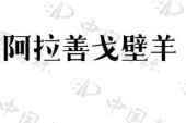 阿拉善左旗银根苏木基层供销合作社有限公司商标注册被驳回