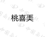 安徽安芯云数据技术有限公司商标注册被驳回