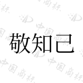 山东良好食品有限公司商标注册被驳回