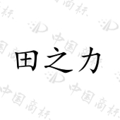 资阳斯壮生物技术有限公司商标注册被驳回