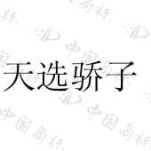 山西海誓海诺文化传播有限公司商标注册被驳回