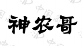 黑龙江省神农生物技术有限公司商标注册被驳回