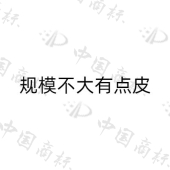 青岛五四商务服务有限公司商标注册被驳回