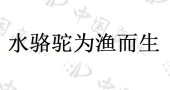 威海水骆驼渔具有限公司商标注册被驳回